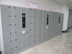 河北農(nóng)業(yè)大學圖書館